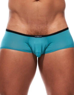 Gregg Homme Voyeur Trunk 100605