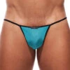 Gregg Homme Voyeur G-String 100614 -Shop BoldBrief 100614 07 close front