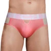 Doreanse Window Thong 1224 -Shop BoldBrief 1224 PNK