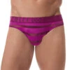 Gregg Homme Encore Brief 160603 2 Gregg Homme Encore Brief 160603 -Shop BoldBrief 160603 MAGENTA far front 1