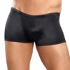 Male Power Satin Lo Rise Pouch Trunk 153-076 -Shop BoldBrief 202903