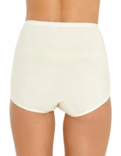 Vanity Fair 3-Pack Lollipop Brief 15361 -Shop BoldBrief 224022