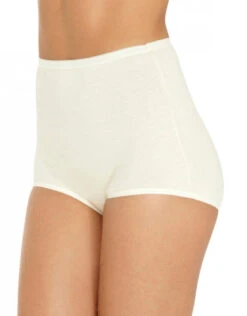 Vanity Fair 3-Pack Lollipop Brief 15361 -Shop BoldBrief 224024