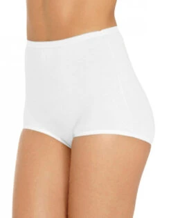 Vanity Fair 3-Pack Lollipop Brief 15361 -Shop BoldBrief 224025