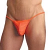Male Power Euro Male Spandex Pouch G-String Pak-870 2 Male Power Euro Male Spandex Pouch G-String Pak-870 -Shop BoldBrief 241502