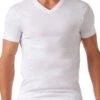 2xist Men's Pima Cotton V-Neck T-Shirt 041010 -Shop BoldBrief 261232
