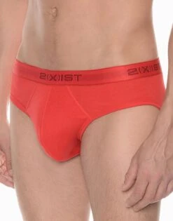 2xist 3-Pack Cotton No-Show Brief 020320 -Shop BoldBrief 2xist 020320 Blazing Yellow Formula One Lapis B d38b8a8e 822f 420b a533 4f44655bb4c5