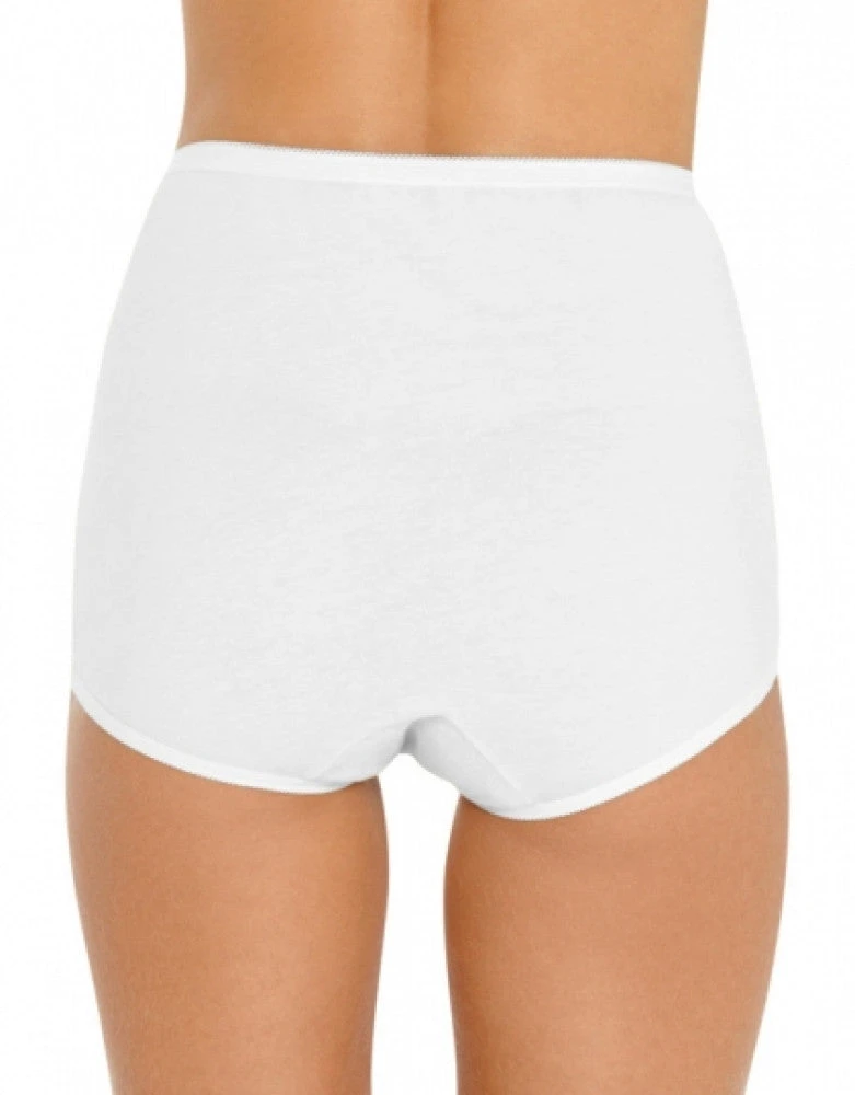 Vanity Fair 3-Pack Lollipop Full Figure Brief 15861 4 Vanity Fair 3-Pack Lollipop Full Figure Brief 15861 - Image 2