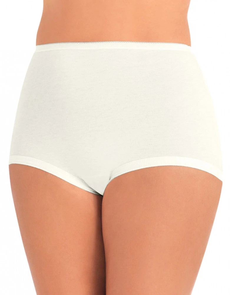 Vanity Fair 3-Pack Lollipop Cuffed Legband Brief 15367 4 Vanity Fair 3-Pack Lollipop Cuffed Legband Brief 15367 - Image 2