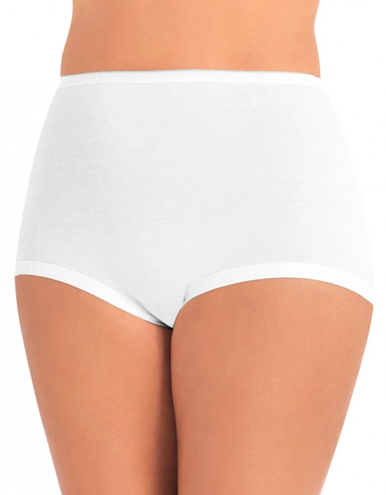 Vanity Fair 3-Pack Lollipop Cuffed Legband Brief 15367 3 Vanity Fair 3-Pack Lollipop Cuffed Legband Brief 15367