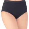 Vanity Fair Comfort Where It Counts Brief Panty 13163 -Shop BoldBrief 439027