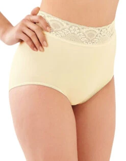 Bali Lacy Skamp Brief Panty DF2744 12 Bali Lacy Skamp Brief Panty DF2744 -Shop BoldBrief Bali 2744 Moonlight B