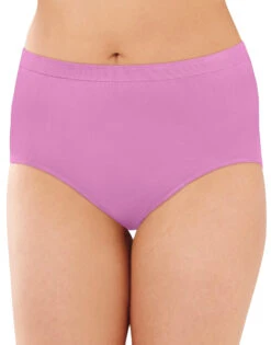 Bali Comfort Revolution Seamless Brief Panty DF803J -Shop BoldBrief Bali 803J Winter Lilac B