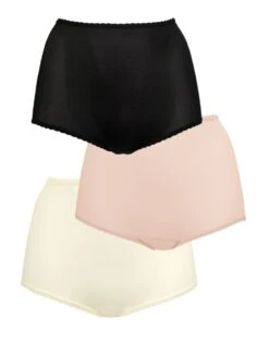 Bali Skimp Skamp Full Brief Panty 3 Pack DFA633 -Shop BoldBrief Bali DFA633 BlackRosewoodMoonlight FLAT becc537d 0245 476d 9941 50df1530de5f