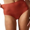 Chantelle Soft Stretch One Size Full Brief Spice 2647 -Shop BoldBrief C26470 06M SOFTSTRETCH HIGH BRIEF FT 668