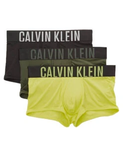 Calvin Klein Intense Power Micro Low Rise Trunk NB2593