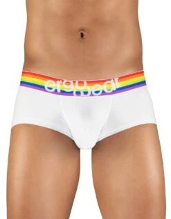 ErgoWear Max XV Pride Boxer Brief EW1116