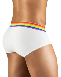ErgoWear Max XV Pride Boxer Brief EW1116 -Shop BoldBrief EW1116 3