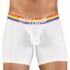 ErgoWear Max XV Pride Trunk EW1117 -Shop BoldBrief EW1117 1