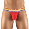 Ergo Wear Max XV Pride Jockstrap EW118 -Shop BoldBrief EW1118 1
