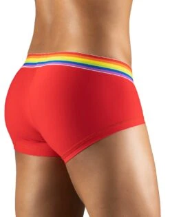ErgoWear Max XV Pride Boxer Brief EW1121 -Shop BoldBrief EW1121 3