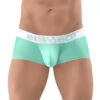 Ergo Wear Max SE Trunk EW1313 -Shop BoldBrief ErgoWear EW1313 Mint 1