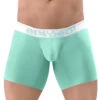 Ergo Wear Max SE Boxer Brief EW1314 1 Ergo Wear Max SE Boxer Brief EW1314 -Shop BoldBrief ErgoWear EW1314 Mint 1