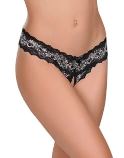 Exposed Cross Dye Sheer Lace 3-Pack Panties Black G3PK107 -Shop BoldBrief Exposed G3PK107 Black B 1