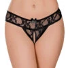 Exposed Lace Crotchless Sheer Panty 3 Pack Black G3PK108 2 Exposed Lace Crotchless Sheer Panty 3 Pack Black G3PK108 -Shop BoldBrief Exposed G3PK108 Black B 1 548bc35e 877e 40cc a8ae 025ce012cff7