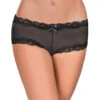 Exposed Mesh 3-Pack Panties G3PK112 -Shop BoldBrief Exposed G3PK112 Black B 2