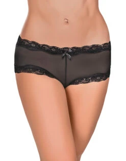 Exposed Mesh 3-Pack Panties G3PK112