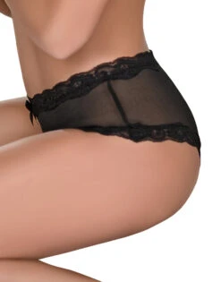 Exposed Mesh 3-Pack Panties G3PK112 -Shop BoldBrief Exposed G3PK112 Black B 6