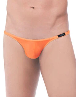 Gregg Homme Torridz Thong 87404 24 Gregg Homme Torridz Thong 87404 -Shop BoldBrief Gregg Homme 87404 Orange B 1 d78a7896 ed77 42d7 99a5 8fde27cc1f8a
