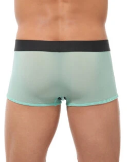 Gregg Homme Torridz Trunk 87465 -Shop BoldBrief Gregg Homme 87465 Mint B 2