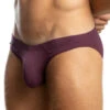 Jack Adams Bikini Brief 401-249 -Shop BoldBrief IMG 3083 hi401 249BikiniBriefBeetrootProfile