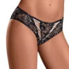 Exposed Bewitching Crotchless Brief M189 -Shop BoldBrief M189 Black