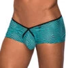 Male Power Tranquil Abyss Micro Mini Short 130-234