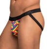 Male Power Pride Fest Jock Underwear Rainbow Herringbone 389-240 -Shop BoldBrief Male Power 389 240 Multi B 1