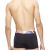 Calvin Klein Reimagined Heritage Pride Micro Low Rise Trunk NB3156 2 Calvin Klein Reimagined Heritage Pride Micro Low Rise Trunk NB3156 -Shop BoldBrief NB3156 250 alternate1