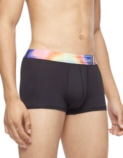 Calvin Klein Reimagined Heritage Pride Micro Low Rise Trunk NB3156 -Shop BoldBrief NB3156 250 main