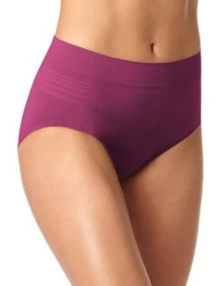 Warner's No Pinching No Problems Seamless Brief Panty RS1501P -Shop BoldBrief WA RS1501P CBJ 2434c14a aa90 45fc 82cc 40e3acf9c082