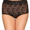 Wacoal Halo Lace Brief 870405 1 Wacoal Halo Lace Brief 870405 -Shop BoldBrief Wacoal 870405 Black B 1