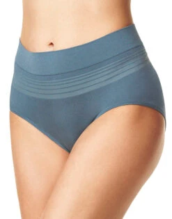 Warner's No Pinching No Problems Seamless Brief Panty RS1501P -Shop BoldBrief Warner s RS1501P DarkMatter B