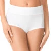 Warner's No Pinching No Problems Microfiber Brief With Lace RS7401P -Shop BoldBrief Warner s RS7401P white white rose water TW B