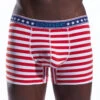 Cocksox American Collection Contour Pouch Boxer Brief CX12 -Shop BoldBrief cx12 liberty stripe 2